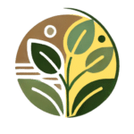 Accompagnement en développement personnel avec Terre-Éveil.